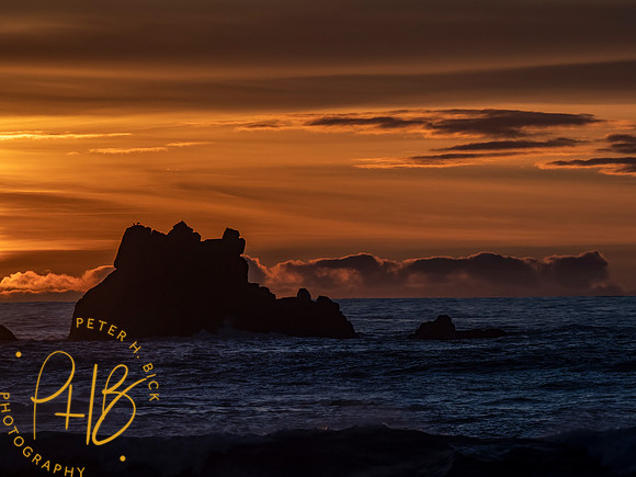 2021 Redwood NP 0715-Edit