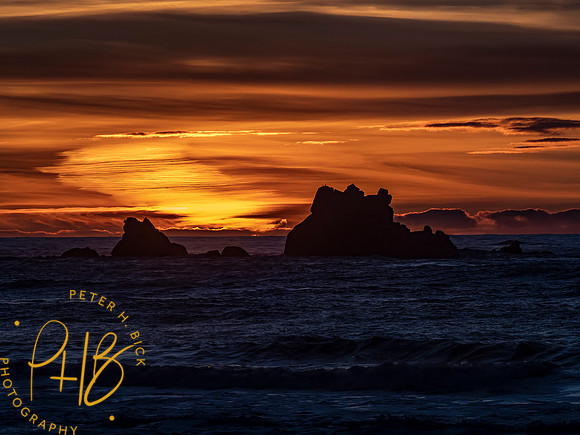 2021 Redwood NP 0734-Edit