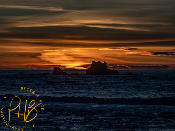 2021 Redwood NP 0755-Edit