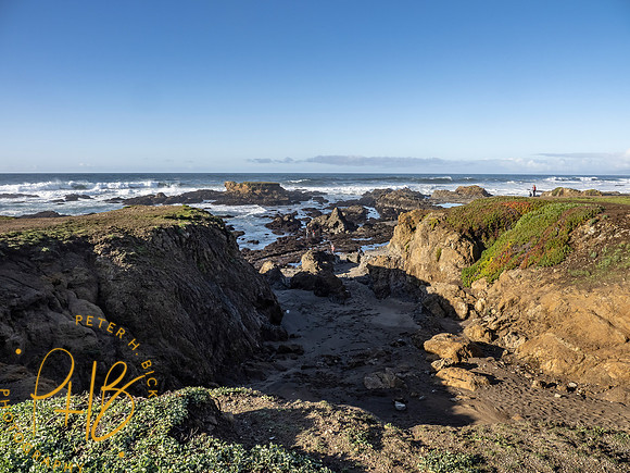 2021 Redwood NP 0002-Edit