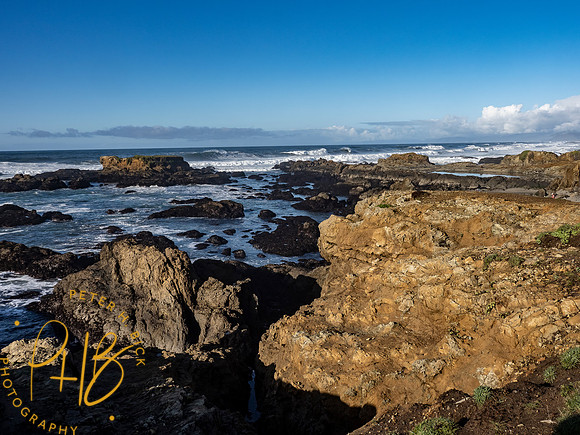 2021 Redwood NP 0008-Edit
