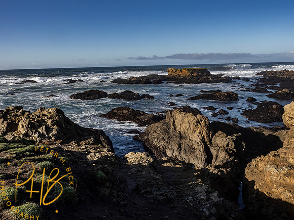 2021 Redwood NP 0009-Edit