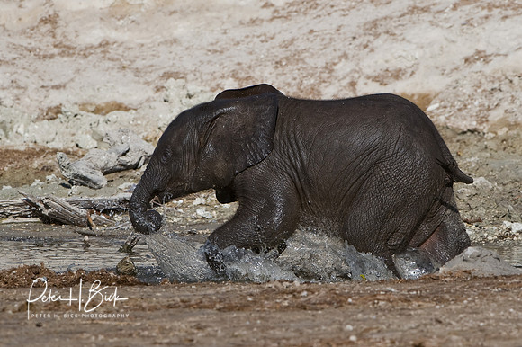 Africa 08 7090