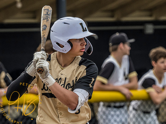 Lapel Baseball 2024 0207-Edit