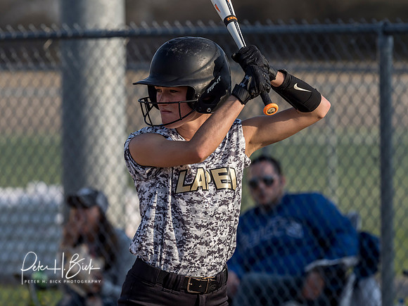 Lapel Softball 2019 0738