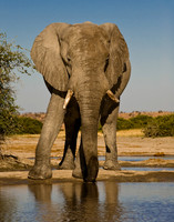 0047Africa 08 7612