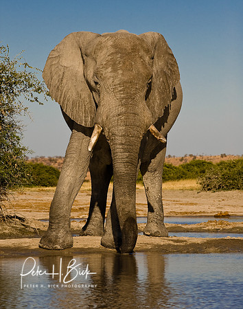 0047Africa 08 7612