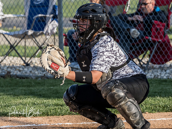 Lapel Softball 2019 0599