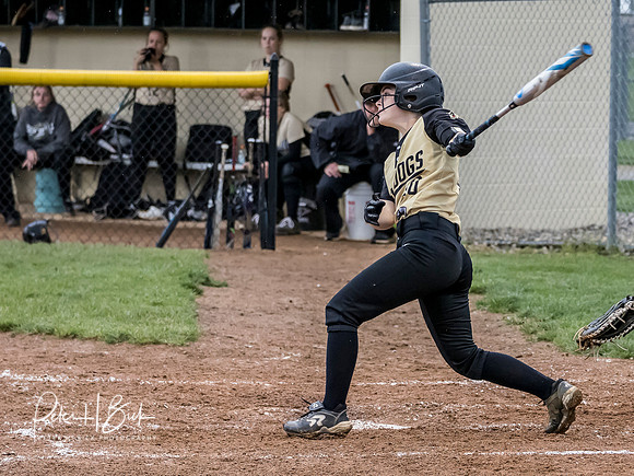 Lapel Softball 2019 0877