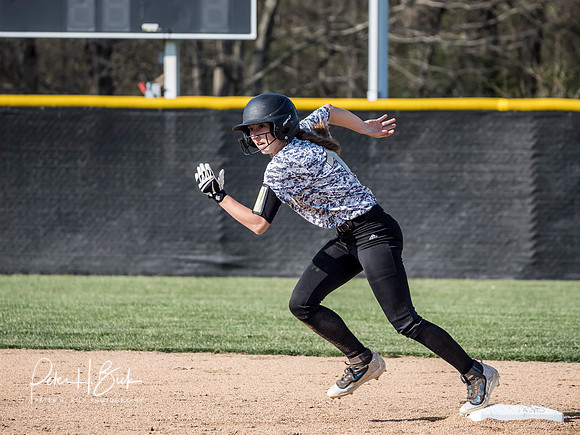 Lapel Softball 2019 0412