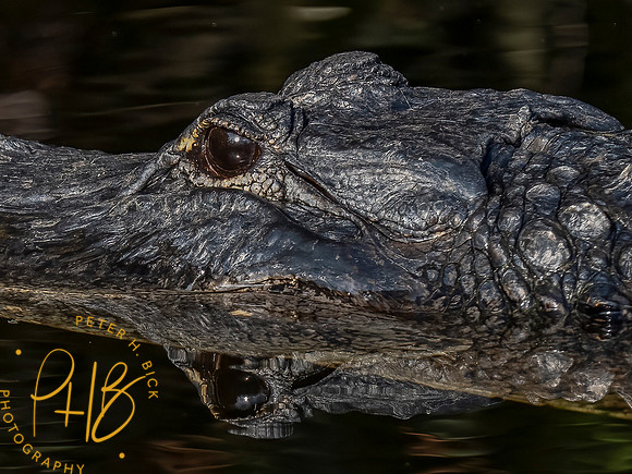 2022 Florida Trip 0200-Edit