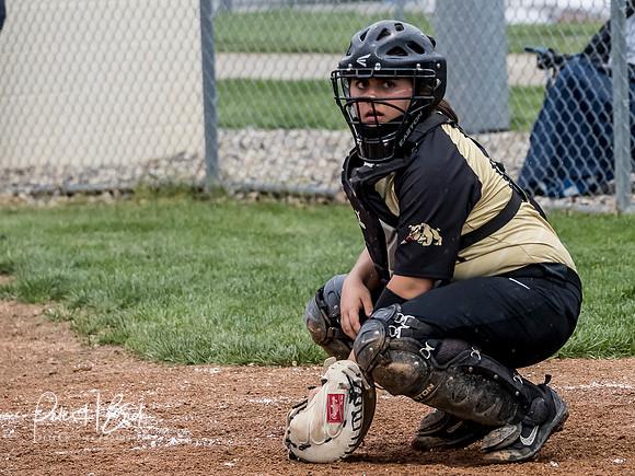 Lapel Softball 2019 0809