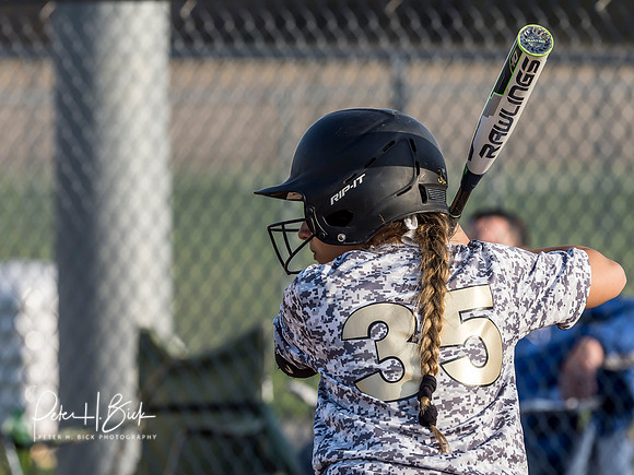 Lapel Softball 2019 0701