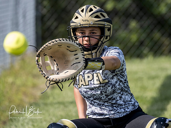 Lapel Softball 2019 0983