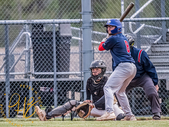 Lapel Baseball 2024 0858-Edit