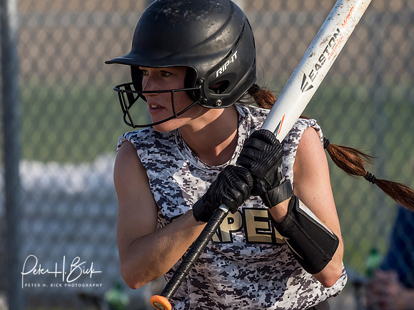 Lapel Softball 2019 0732