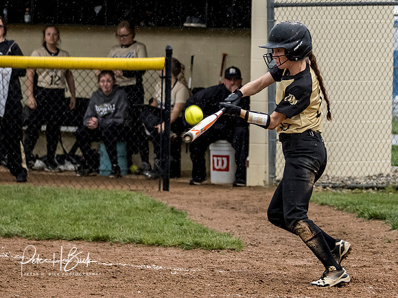 Lapel Softball 2019 0958