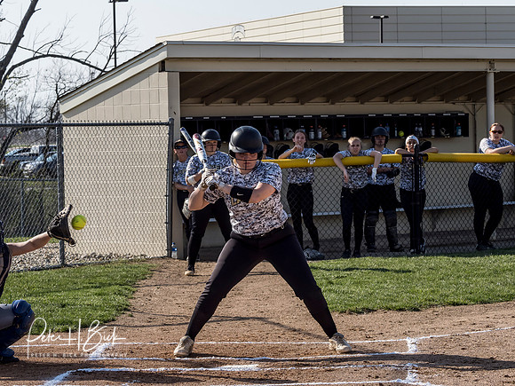 Lapel Softball 2019 0319