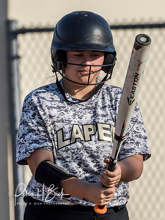 Lapel Softball 2019 0580