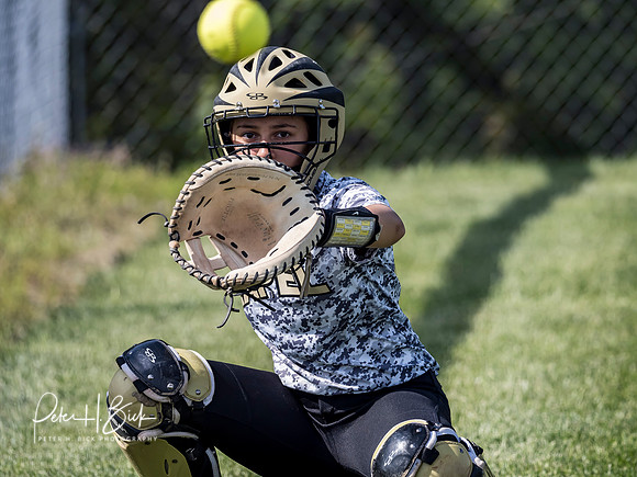 Lapel Softball 2019 0970