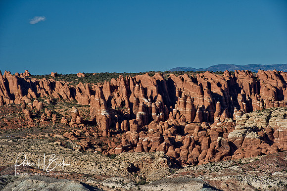 Arches NP 2011 0212