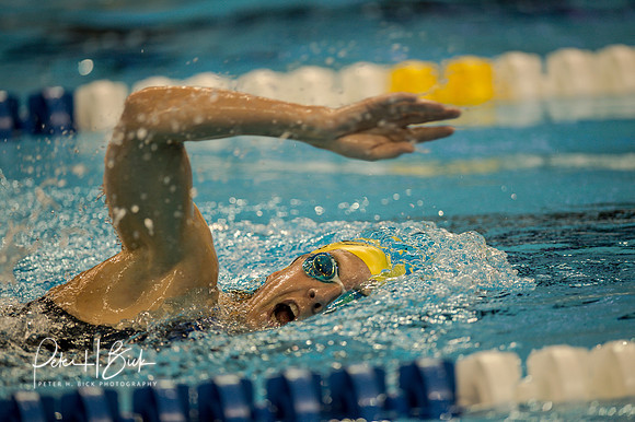 Hamel,L. 2012 USMS Nationals 0927