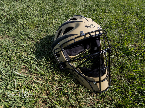 Lapel Softball 2019 1043
