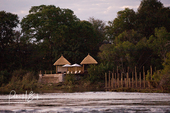 Africa 08 2608