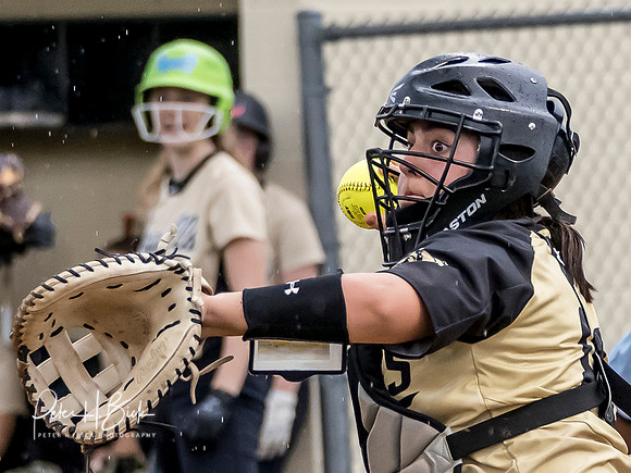 Lapel Softball 2019 0948