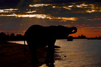 0044Africa 08 3903