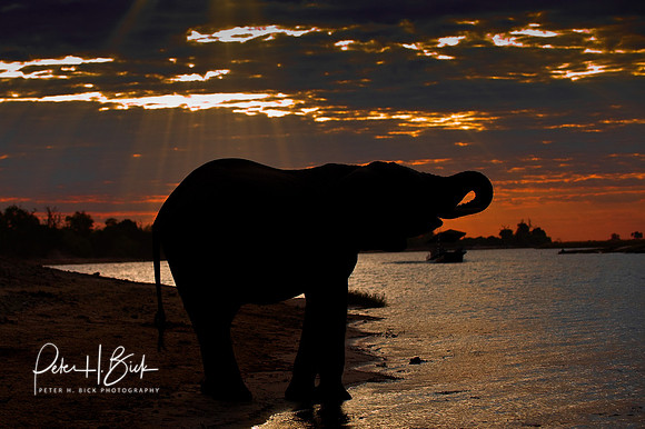 0044Africa 08 3903