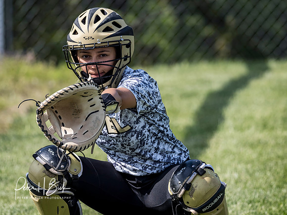 Lapel Softball 2019 0967
