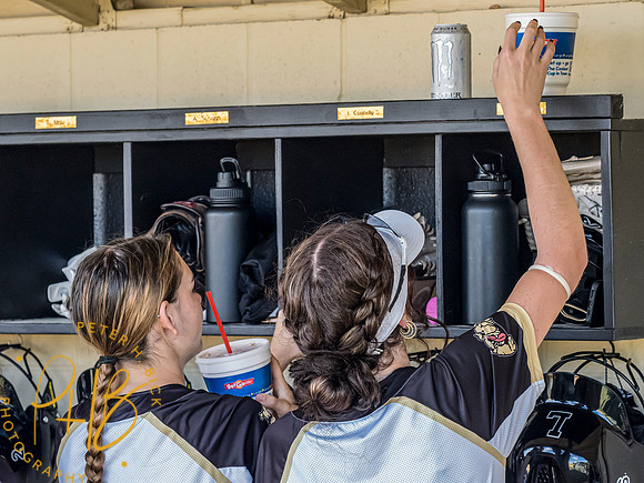 Lapel Softball 2024 1706-Edit