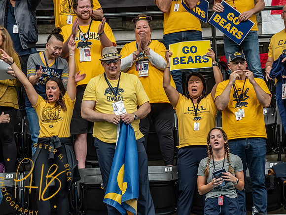 california-cheering- 2024 Men NCAA S&D 0492-Edit