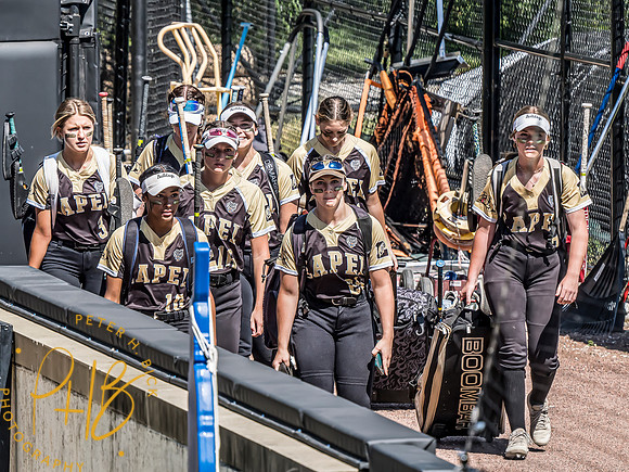 Lapel Softball 2024 2821-Edit