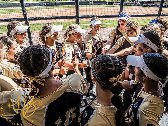 Lapel Softball 2024 2926-Edit