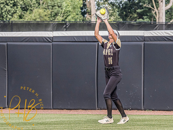 Lapel Softball 2024 3301-Edit