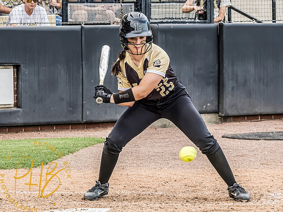 Lapel Softball 2024 3369-Edit