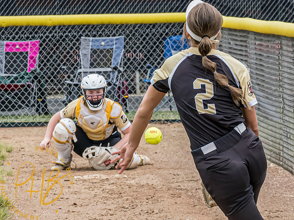 Lapel Softball 2024 2355-Edit