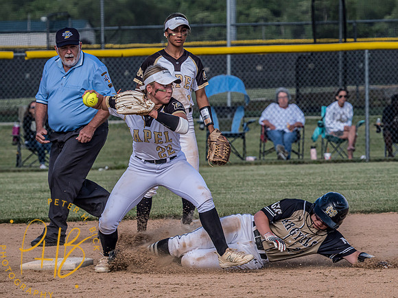 Lapel Softball 2024 1854-Edit