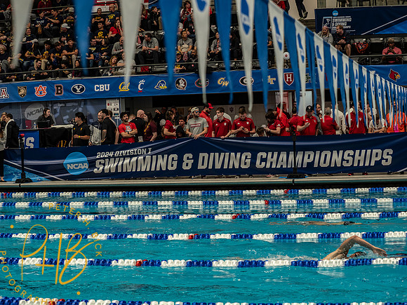 venue- 2024 Men NCAA S&D 0159-Edit