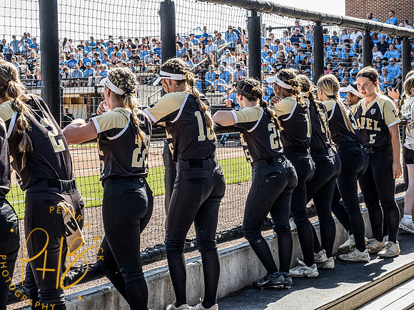 Lapel Softball 2024 3013-Edit