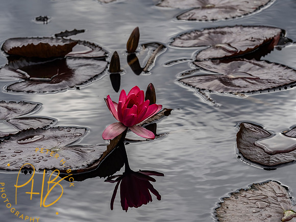 2022 Florida Trip 0083-Edit