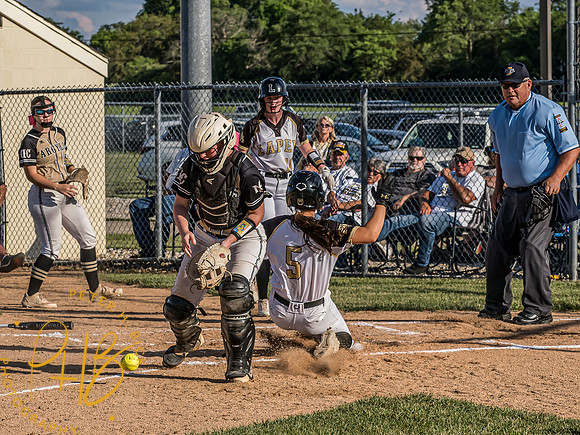 Lapel Softball 2024 1935-Edit