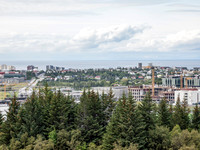 2025 Iceland 0052-Edit