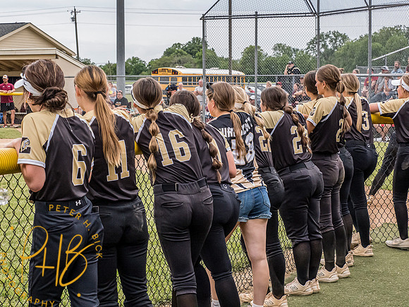 Lapel Softball 2024 1518-Edit