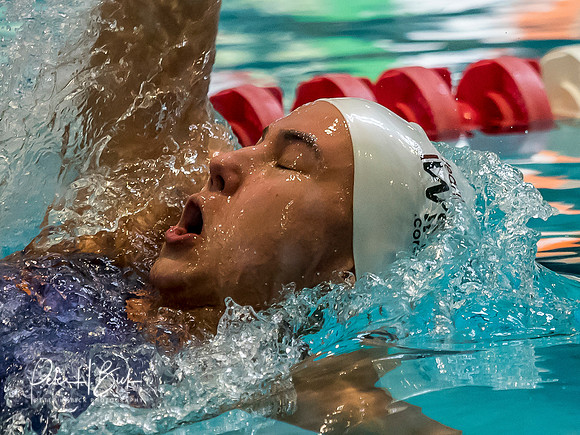 estefnia-milanez-usms-panam-2018 0294