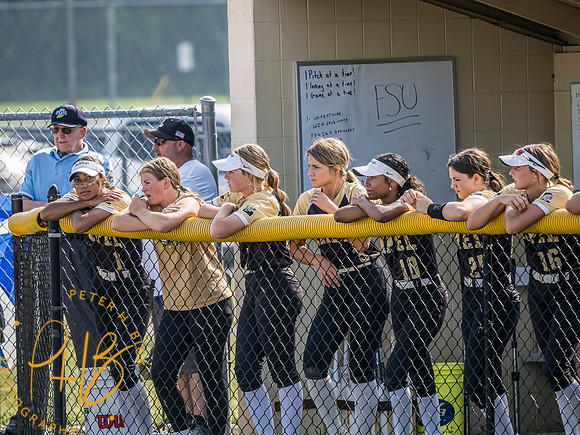 Lapel Softball 2024 0619-Edit