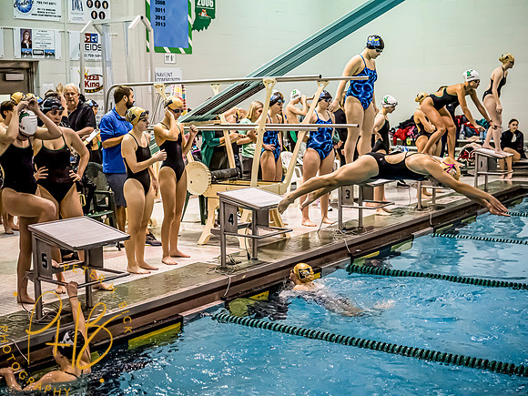 Lapel Swimming 2024-25 0047-Edit-topaz-denoise-face