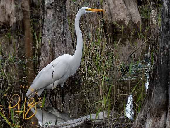 2022 Florida Trip 0136-Edit